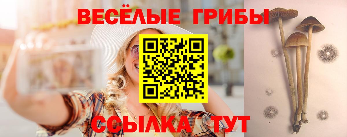 Псилоцибиновые грибы Psilocybine cubensis  Псилоцибиновые грибы прущие грибы  купить наркоту  Вход с VPN  Аргун 